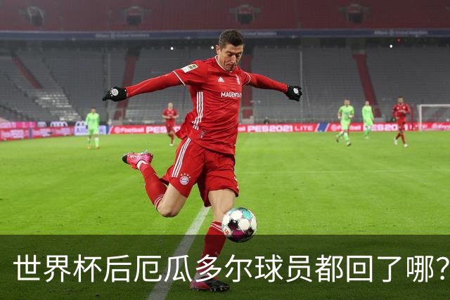 世界杯后厄瓜多尔球员都回了哪？输给墨西哥后他们各归其主