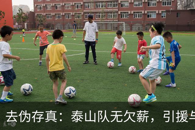 去伪存真：泰山队无欠薪，引援与教练难题待解