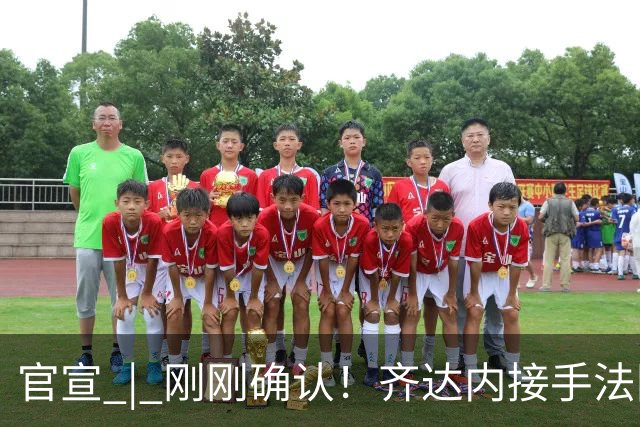 官宣 | 刚刚确认！齐达内接手法国队！