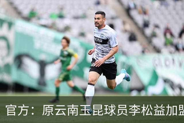 官方：原云南玉昆球员李松益加盟上海申花，现年33岁司职中卫