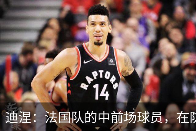 迪涅：法国队的中前场球员，在防守端也尽心尽力